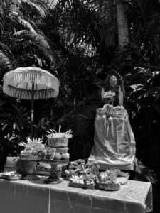 WhatsApp Image 2025-12-11 at 09.40.23 (1)