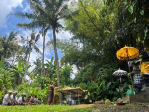 WhatsApp Image 2025-12-11 at 09.40.23