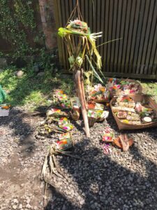 WhatsApp Image 2025-12-11 at 09.41.11 (1)